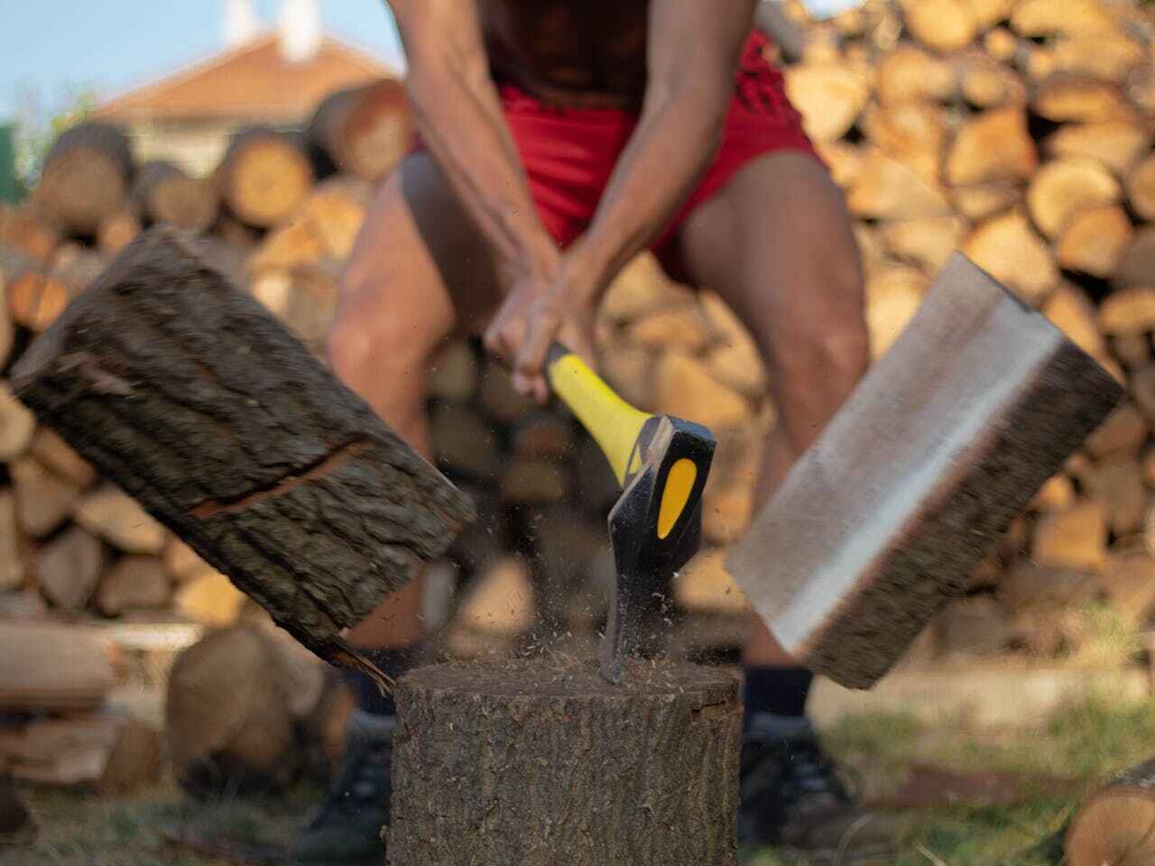 Dead Tree Removal in Carlton, OR